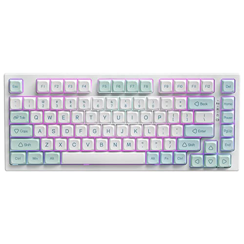 YUNZII YZ75 75% Hot Swappable Wireless Gaming Mechanical Keyboard, RGB Backlights, BT5.0/2.4G/USB-C, Dye Sub PBT Keycaps for Linux/Win/Mac(Gateron G Pro Black, Mint) - Gateron G Pro Black - Mint