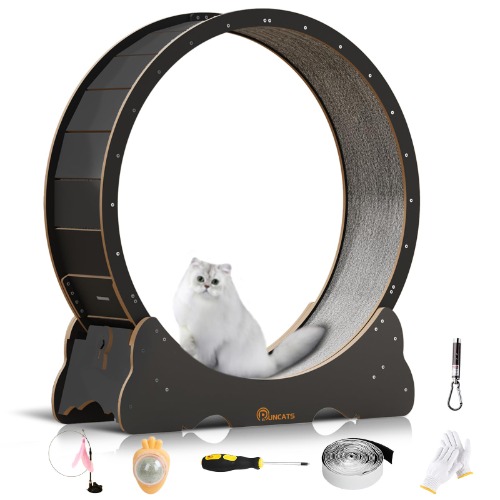 Runcats Cat Wheel, Cat Exercise Wheel, Indoor Cat Treadmill, Cat Running Wheel, Scratcher Board Furniture - Black