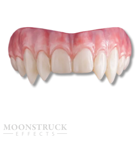 Upper Sabrathan Teeth