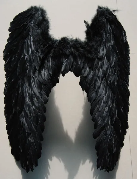 2019 The sexy new feather Halloween cosplay wings BH Victoria feather extra large white and black wings cars party costumes