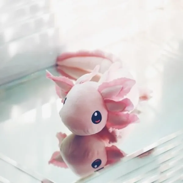 Realistic Weighted Axolotl Plush  4 Lbs Portion Donated to | Etsy