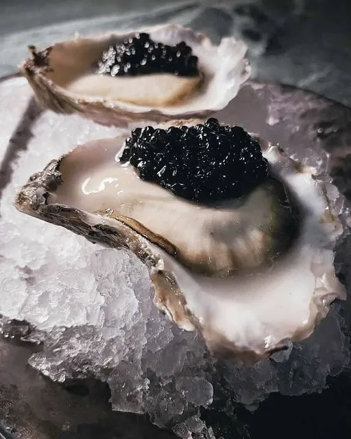 Oysters