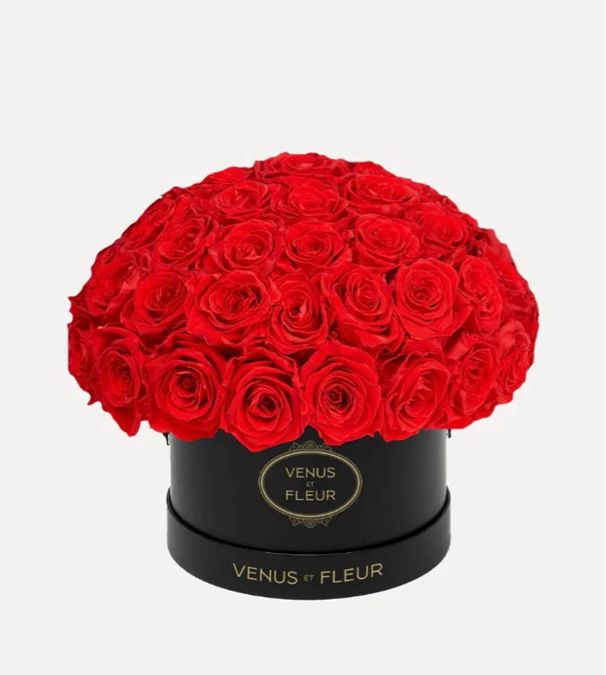 SMALL LE PLEIN- Eternity Roses  