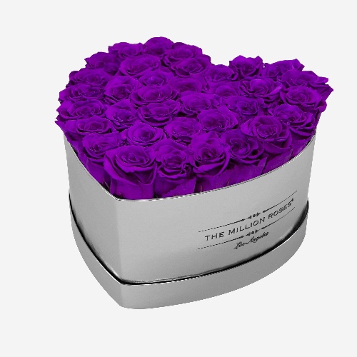Heart Mirror Silver Box | Bright Purple Roses | Silver / Bright Purple