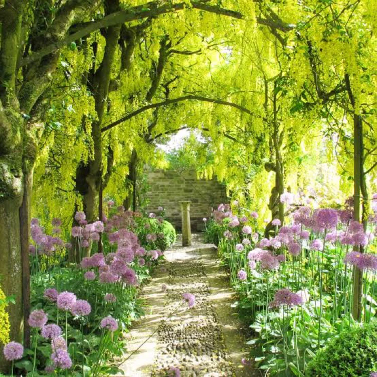 DIY & GARDENING FUND 