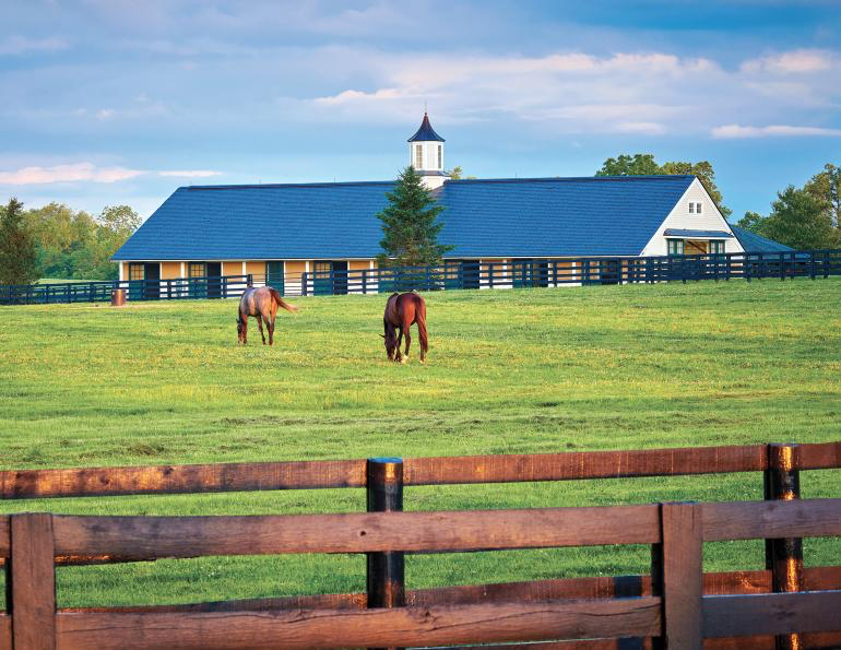 Horse Farm