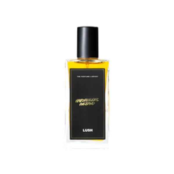 Hairdresser's Husband 