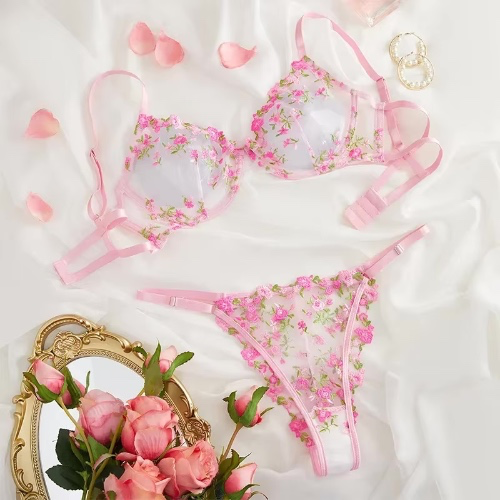 Lingerie Shopping 