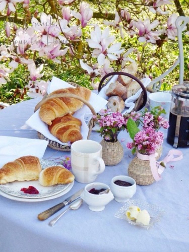 Brunch 