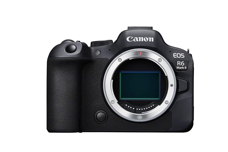 Canon EOS R6 Mark II Full Frame Mirrorless Camera Body Only | 24.2-megapixels, up to 40fps continuous shooting, 4K 60p, up to 8-stops IS and Dual Pixel CMOS Auto Focus II - Single