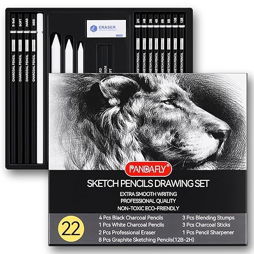 PANDAFLY Drawing Sketching Pencil Set, 22 Piece Pro Art Pencil Kit - Graphite Pencils (12B-2H), Black and White Charcoal Pencils, Charcoal Sticks, Stumps, Eraser, Sharpeners - 22