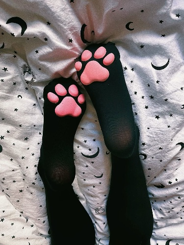 paw socks