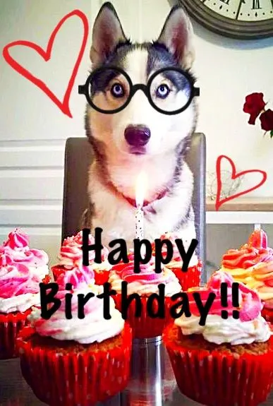 Gift for you💖  You deserve it💖 