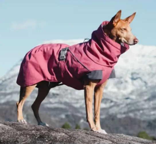 Hurtta Expedition winter jacket