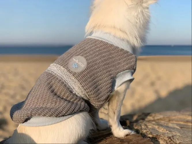 Dog sweater #2 🧣