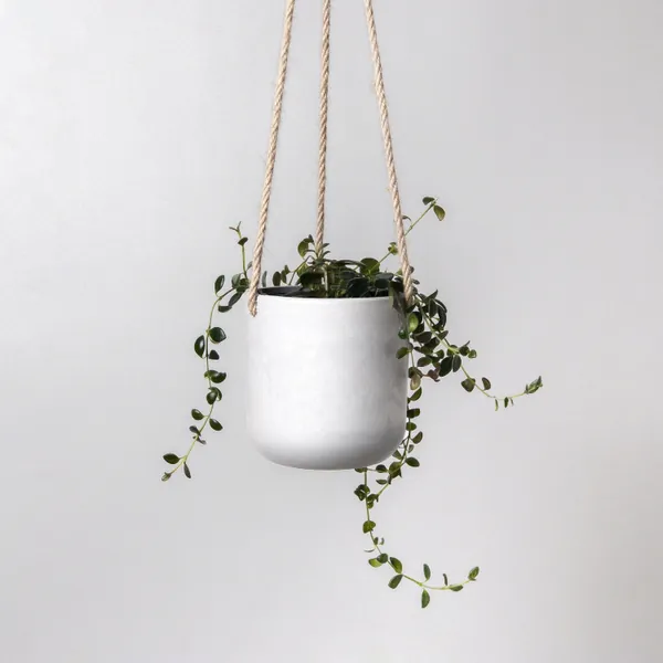 3 Hanging Planter Pots