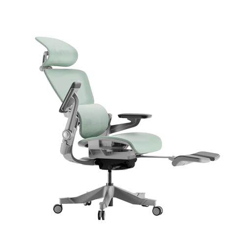 Ergonomic Office Chair