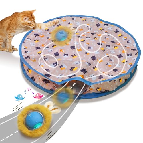 Interactive Cat Toys