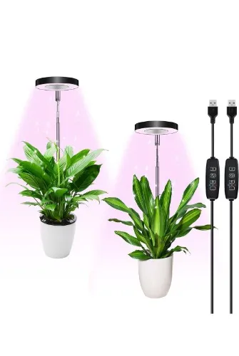 Indoor grow lights 🪴 ✨️ 