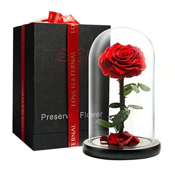 LOVAPPY Eternal Enchanted Forever Preserved Rose - Infinity Rose in Glass Dome - Made from Real Fresh Beauty Rose - Romantic Gifts for Female - Valentines Day - Gift for Mom (red, 9 inch) - Red - 9 in