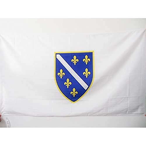 Bosnia and Herzegovina 1992-1998 Flag