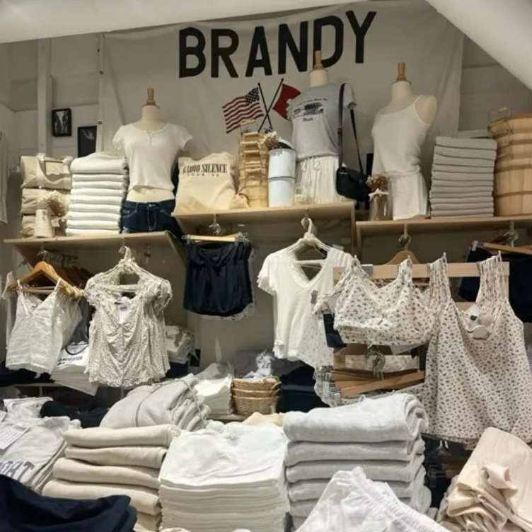 Brandy Melville shopping spree