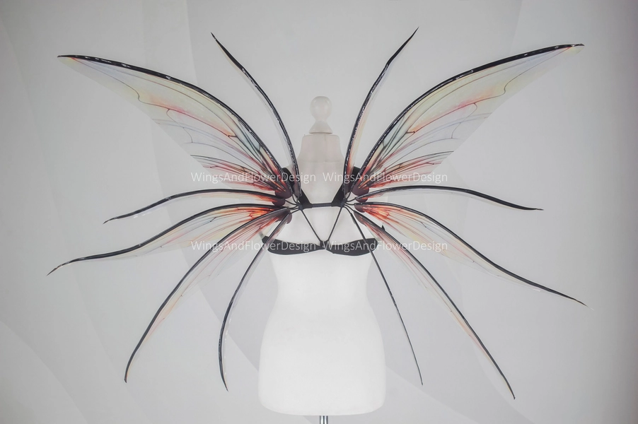 Transparent wings, moth wings, butterfly wings, elf wings, butterfly fairy wings, fantasy Halloween fantasy, magical fairy clear wings