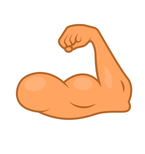 6 Months Gym Membership 