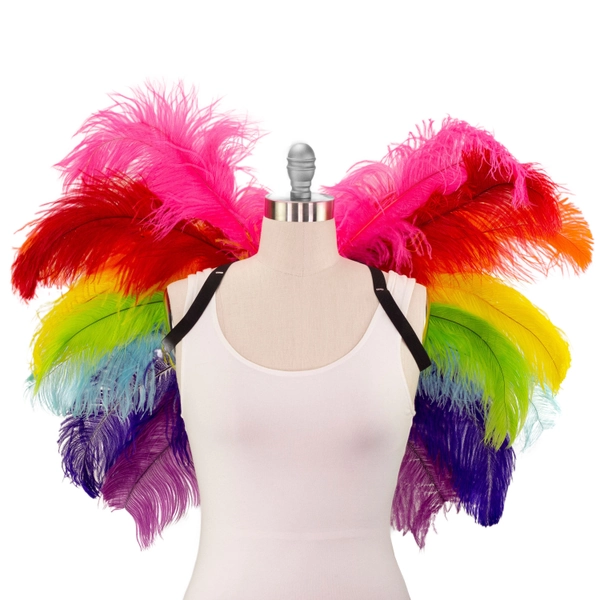 Rainbow Ostrich Feather Wings
