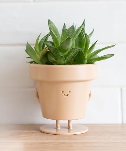 Indoor Plant Pot, Unique Cute Plastic Flower Pot with Face, 3.5 Inch Succulent/Cactus Planter, Plant Lover Gift, Decorative Novelty Planter - Standing