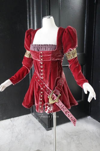 Adventurer Mini Dress - Silk Velvet | 2 US women's numeric / Berry