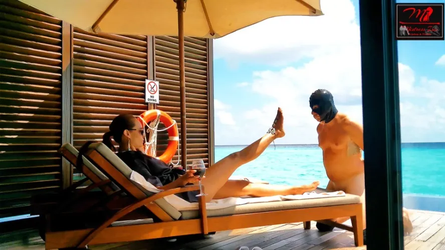 Colabora en mis vacaciones