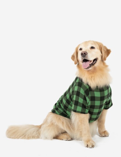 Big Dog Plaid Pajamas - green-black / X-Large