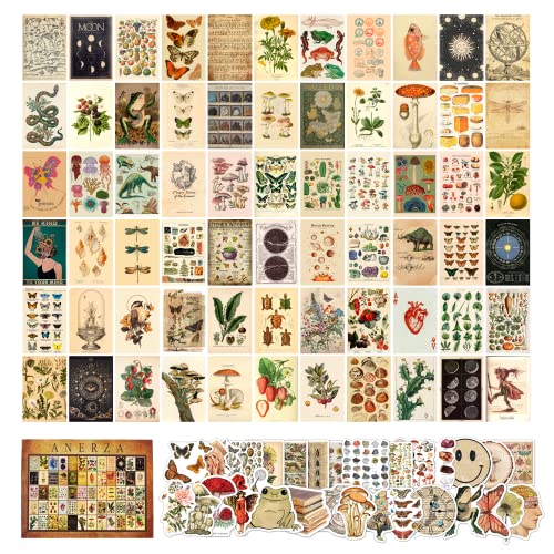 100 PCS Vintage Wall Collage Kit Aesthetic Pictures, Cottagecore Room Decor for Bedroom Posters