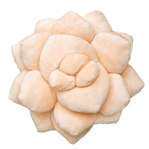 Lil' Pop Succulent® - Blush Peach | Default Title