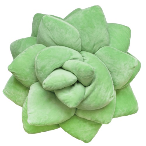 Big Pop Succulent® - Sage Green | Default Title