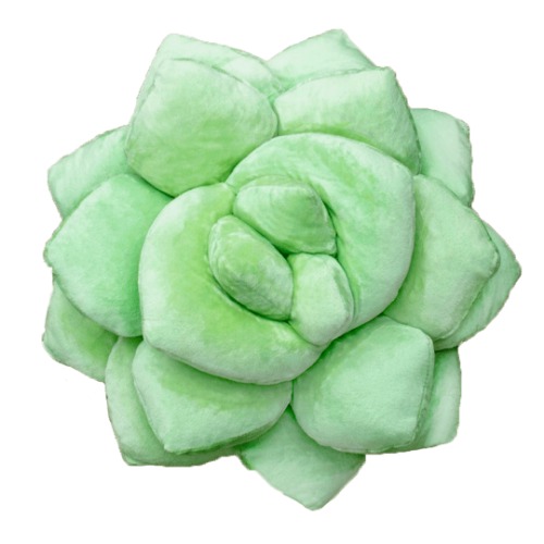 Lil' Pop Succulent®  - Sage Green | Default Title