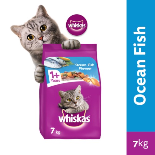 Cat food for my cats