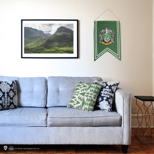 Bannière Serpentard