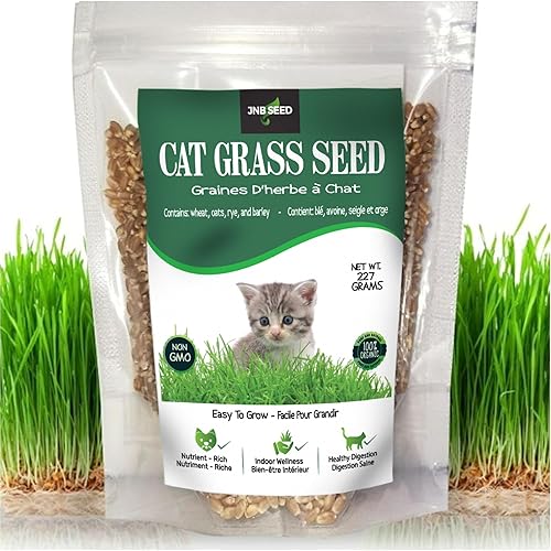 Organic & Non-GMO Pet Grass Seed Blend with Rye, Wheat, Barley, Oat Product of Canada ((1/2 Pound (8oz) (227 Grams) Bring The Outdoors to Your Indoor Pets!