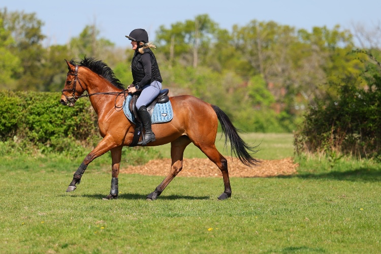 Equestrian Livery 1 month 