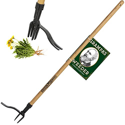 Grampa's Weeder - The Original Stand Up Weed Puller Tool With Long Handle - Made With Real Bamboo & 4-Claw Steel Head Design - Easily Remove Weeds Without Bending, Pulling, or Kneeling - Tool