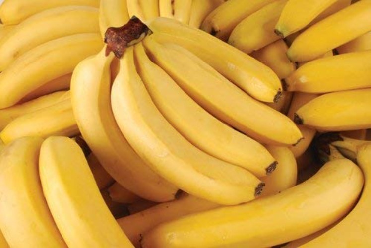 Fresh Organic Bananas Approximately 3 Lbs 1 Bunch of 6-9 Bananas (Fresh Premium Organic Bananas 6 Lb 2 Bunch) - Fresh Premium Organic Bananas 6 Lb 2 Bunch