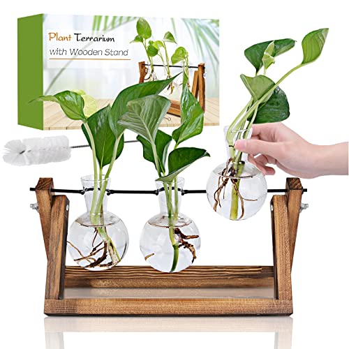 Renmxj Plant Propagation Station, Plant Terrarium with Wooden Stand, Unique Gardening Birthday for Women Plant Lovers, Home Office Garden Decor Planter - 3 Bulb Glass Vases - 3 Bulb Vase