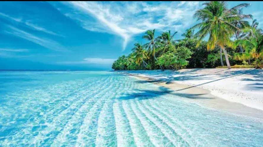 Maldives dream 🌙🦋 