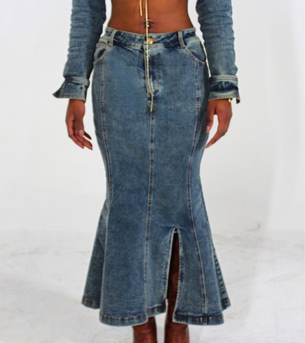 Dulsè Denim Maxi Skirt