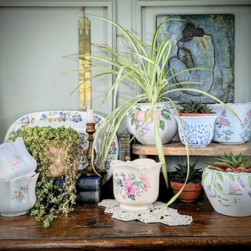 Vintage style flower pots 🪴