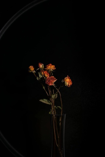 Romeo & Juliet 1️⃣