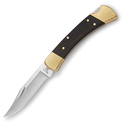 Buck Knives 110 Folding Hunter Lock-back Knife, Brass Bolsters, Ebony Handles, 3-3/4" 420HC Blade with Leather Sheath - Classic - 3.75" Blade