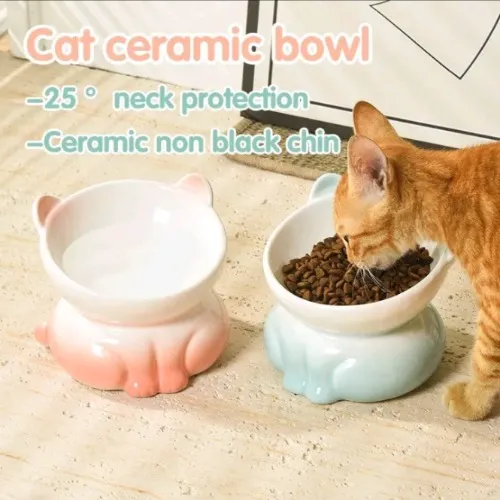 Cat Elevated Food Bowl